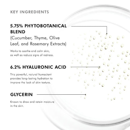Phyto Corrective Essence Mist