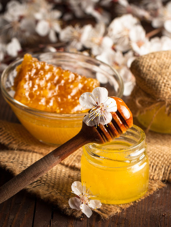 Herbal Pharm Manuka Honey 500+ 250g - Herbal Pharm Singapore
