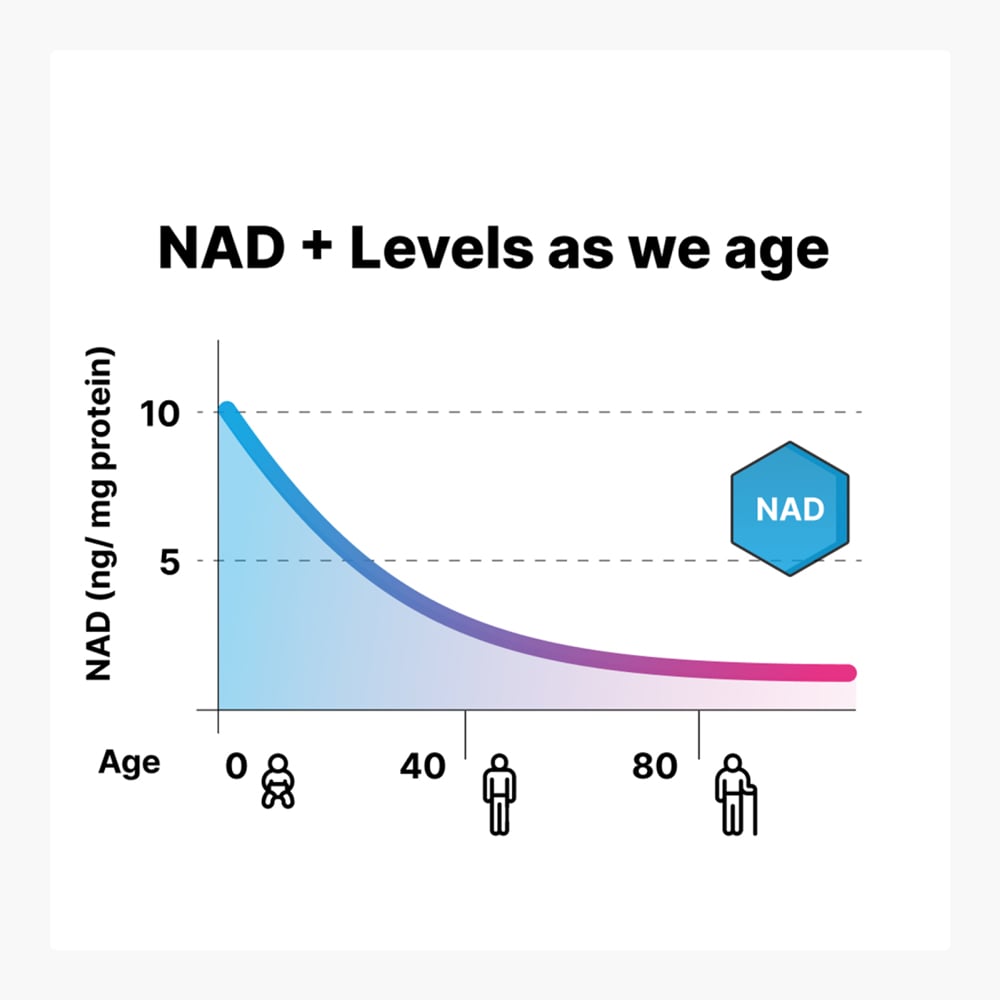 NAD+ Optimization Starter Kit - Cellular Health Supplement by Jinfiniti