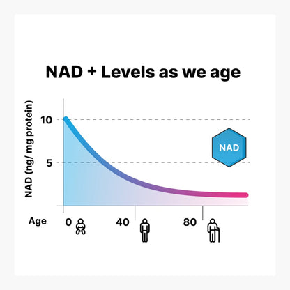 NAD+ Optimization Starter Kit - Cellular Health Supplement by Jinfiniti